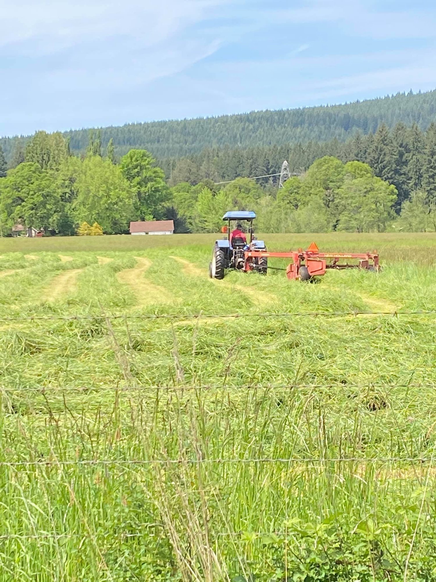 Tractor mowing grass in a lush green field with trees and a distant house under a clear blue sky.