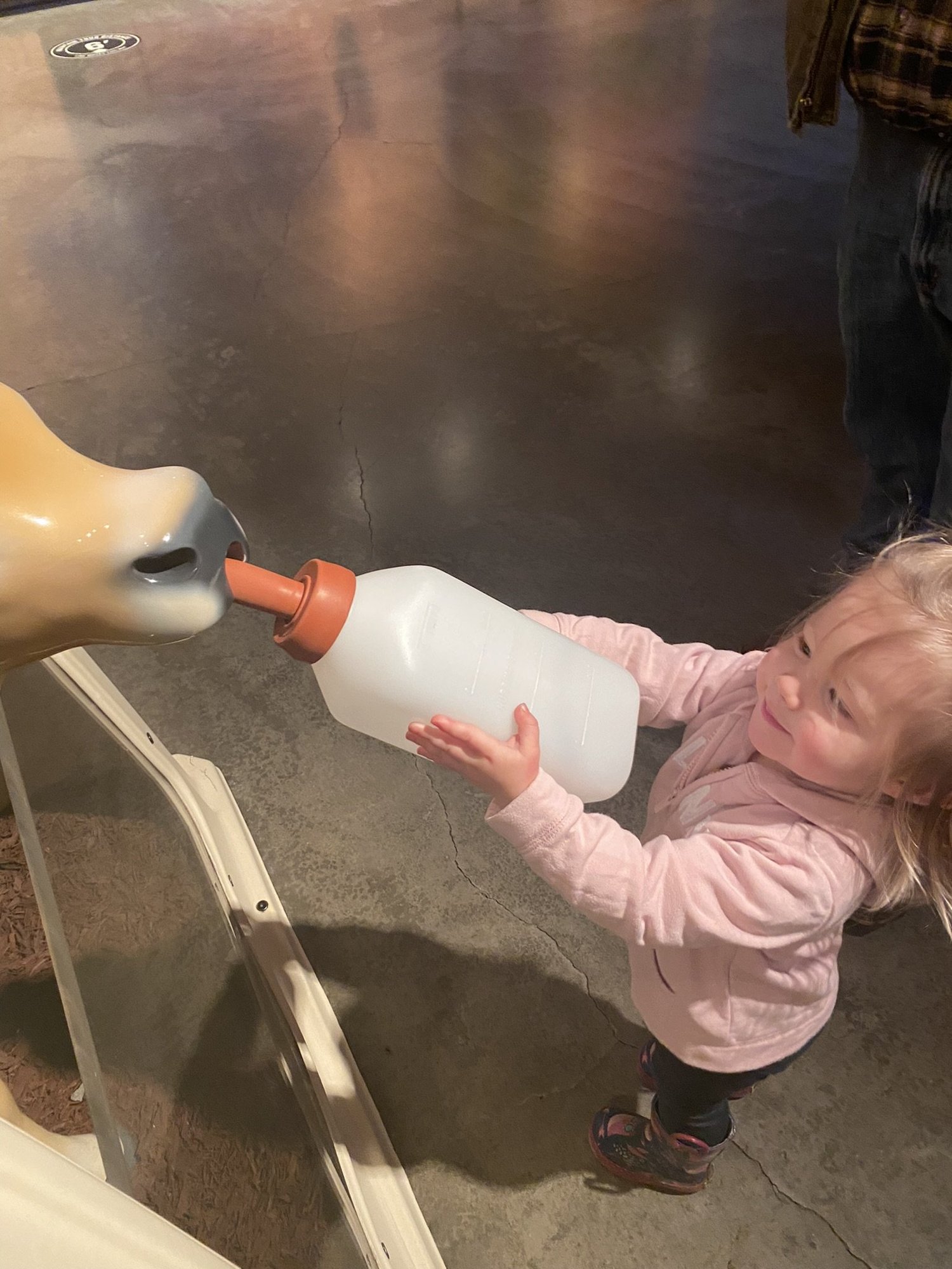 Young child feeding a toy cow with a bottle at a farm exhibit, showcasing interactive learning experiences for children.
