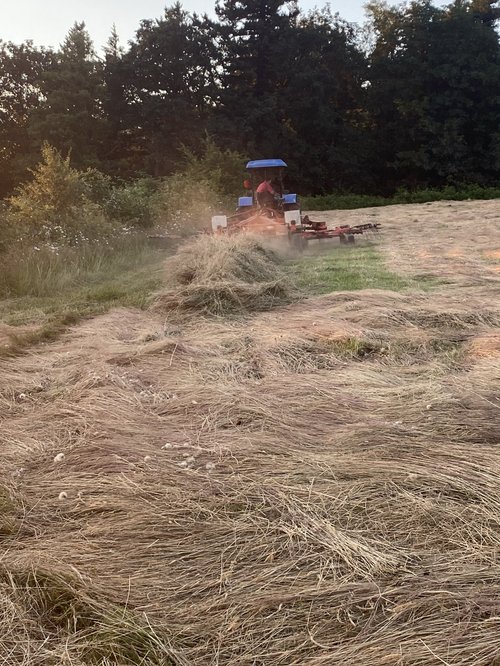 A farmer using a tractor to harvest hay in a sunlit field, with freshly cut grass arranged in rows and trees in the background.